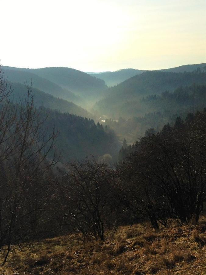 Harzhuisje - Sankt Andreasberg Dış mekan fotoğraf